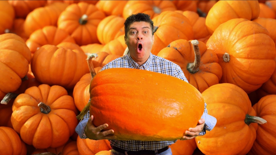 Návod na přípravu dýňového pyré a dýňového koření  (pumpkin spice)  KULINÁŘSKÝ PODZINMNÍ FESTIVAL!!